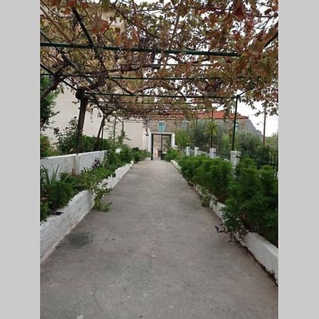Afroditis'S & Makis'S Apartment 2 Λεωνίδιο Εξωτερικό φωτογραφία