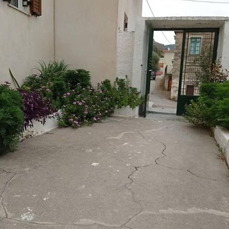 Afroditis'S & Makis'S Apartment 2 Λεωνίδιο Εξωτερικό φωτογραφία