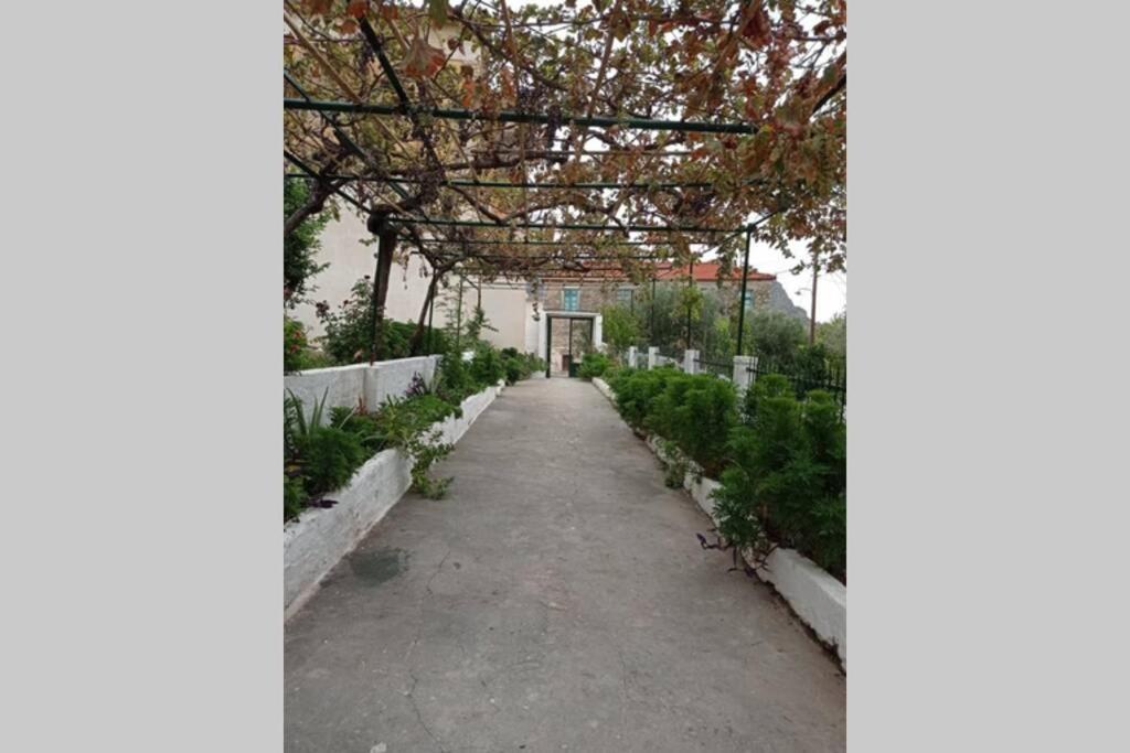 Afroditis'S & Makis'S Apartment 2 Λεωνίδιο Εξωτερικό φωτογραφία
