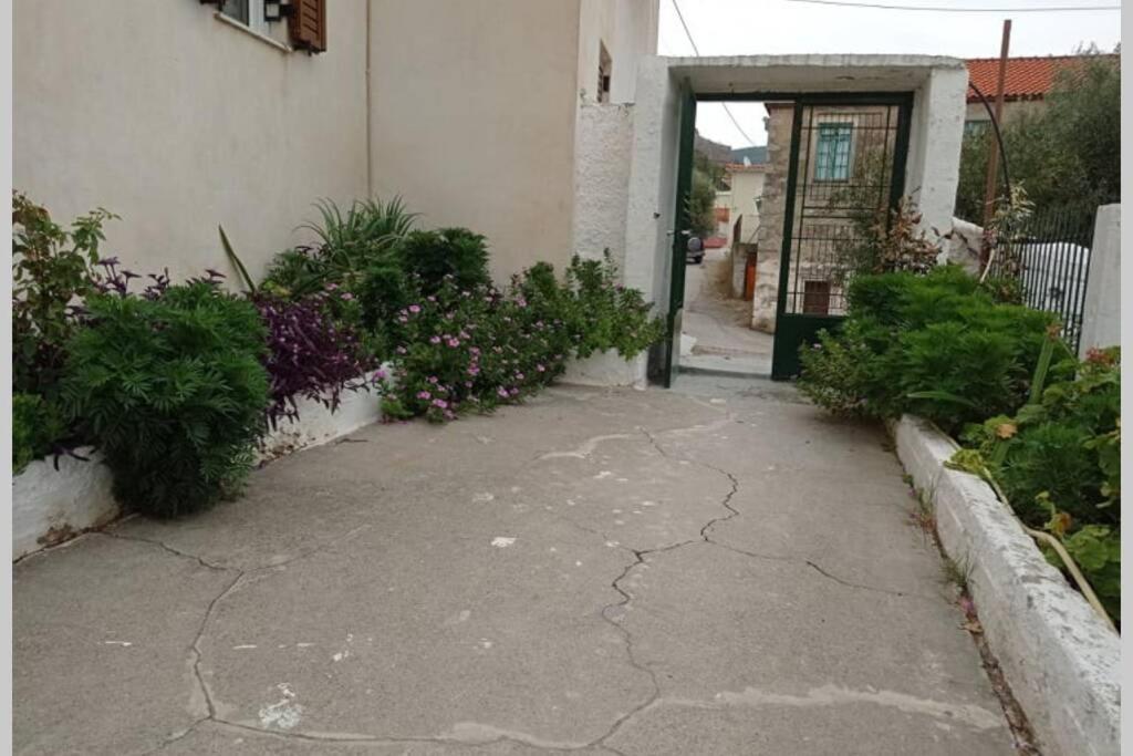 Afroditis'S & Makis'S Apartment 2 Λεωνίδιο Εξωτερικό φωτογραφία